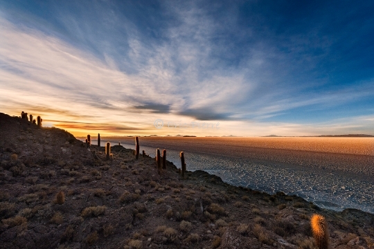 Altiplano de nuit