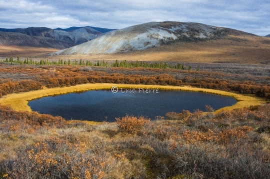 Beringia