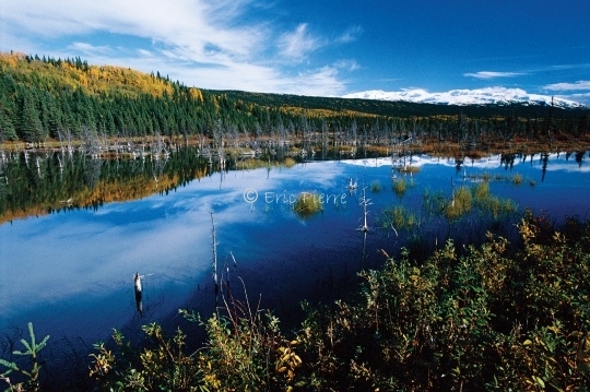 Etang en automne