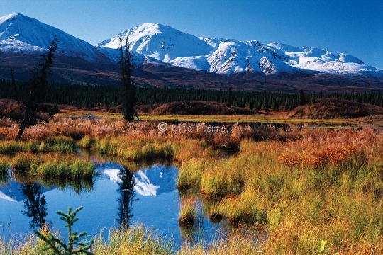 alaska paysage