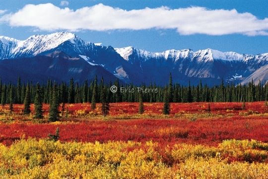 alaska paysage