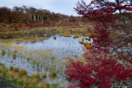 Paysage de Patagonie